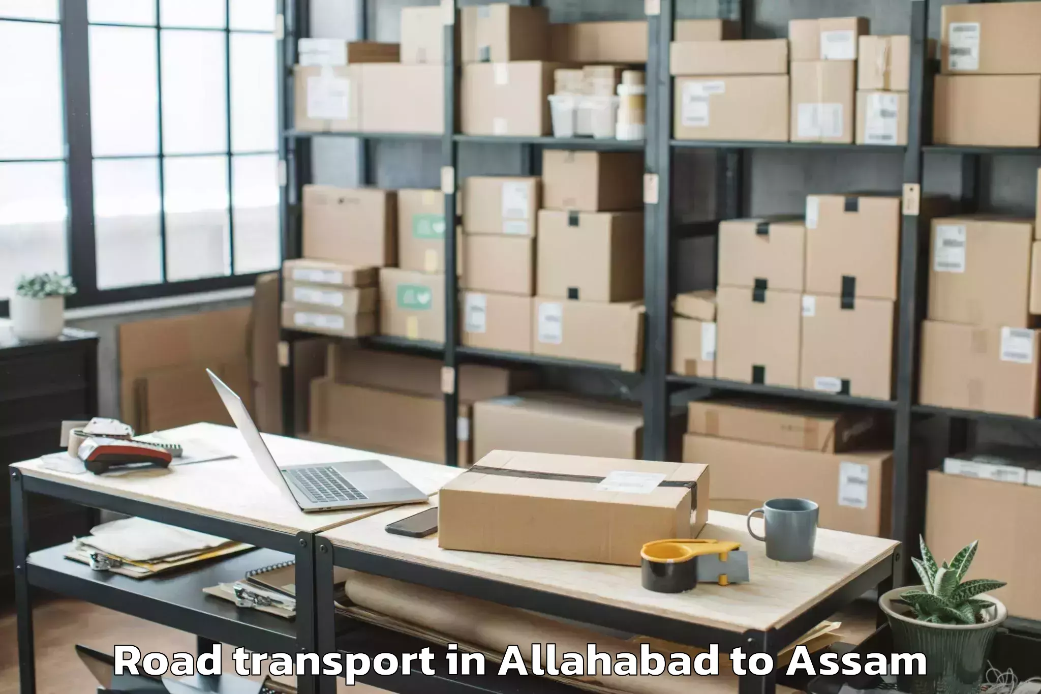 Hassle-Free Allahabad to Numaligarh Road Transport